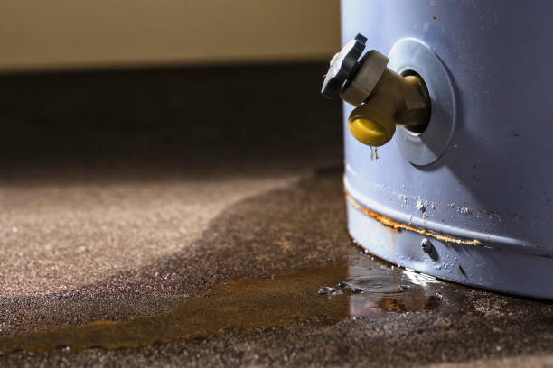 Best Water damage cleanup near me  in Mount Ida, AR