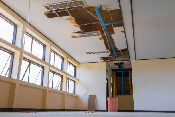Best 24-hour water damage restoration  in Mount Ida, AR
