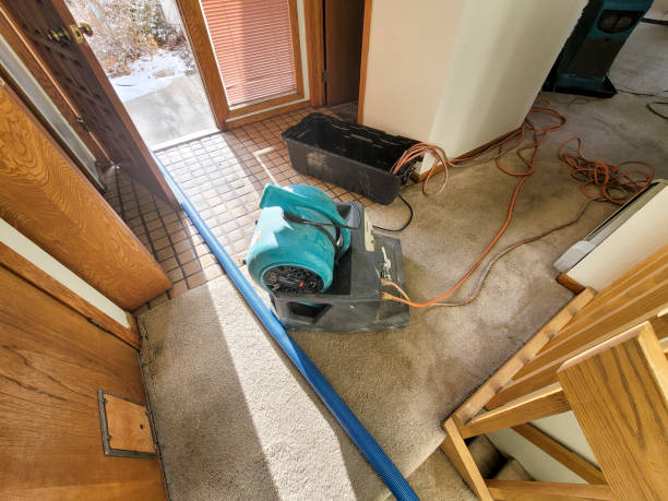 Best Water damage restoration cost  in Mount Ida, AR