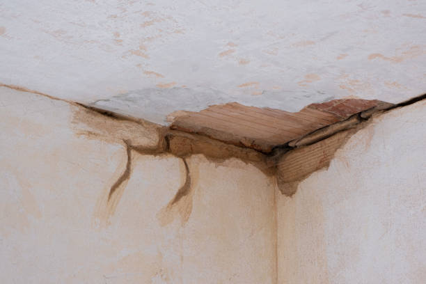 Best Ceiling water damage repair  in Mount Ida, AR