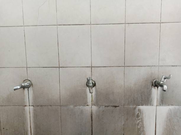 Best Emergency water damage restoration  in Mount Ida, AR