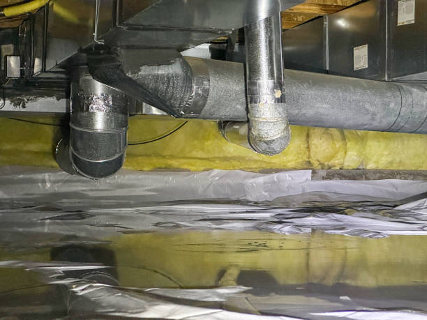 Best Residential water damage restoration  in Mount Ida, AR