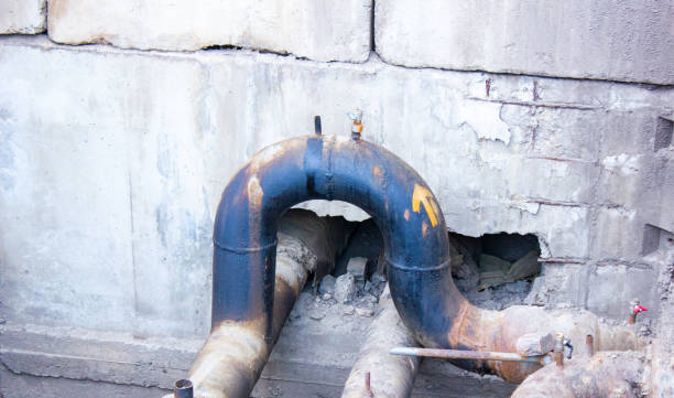Best Water damage restoration near me  in Mount Ida, AR